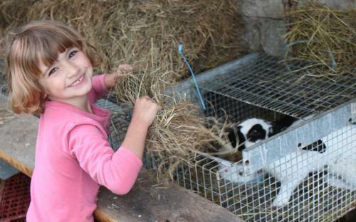 Agroturismo Ferme P�dagogique " L'bout D'chemin"