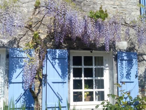 Bed & Breakfast Chat Noir Gite Et Chambre D'hotes