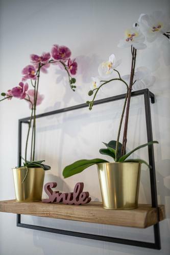 Apartamento Escape Time - Paris