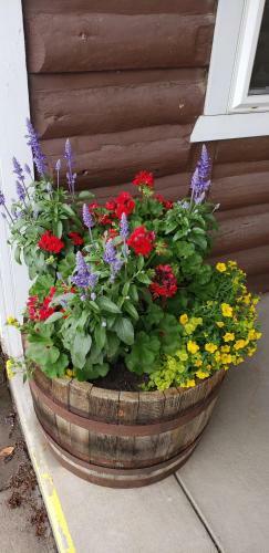 Stagecoach Motor Inn