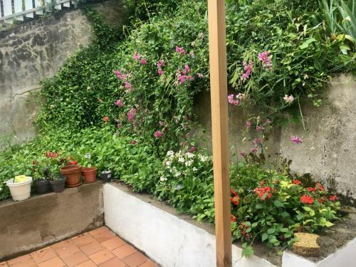 Bed & Breakfast Villula