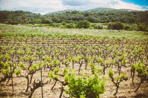 Bed & Breakfast Domaine de Salente