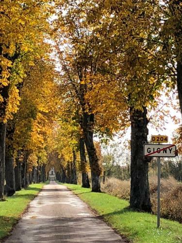 Bed & Breakfast La Cour Des D�lices
