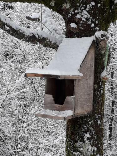 Apartamento Studio Les Bleuets