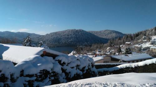 Apartamento Appart Terrasse Vue Lac
