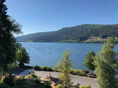 Apartamento Gerardmer : Residence "l'eau Vive"