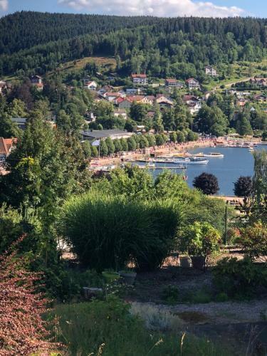 Apartamento Gerardmer : Residence "l'eau Vive"
