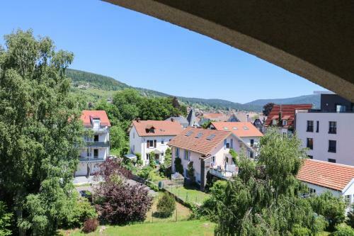 Apartamento Le Belvosgien