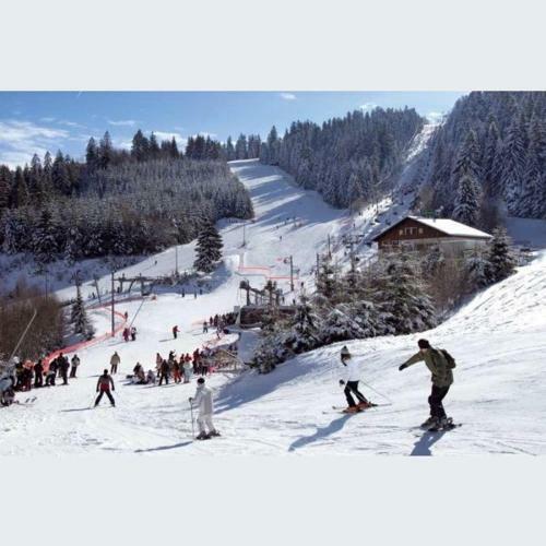 Apartamento Le Montagnard