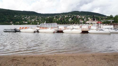 Apartamento Studio Cocooning Gerardmer