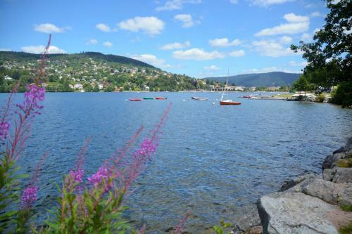 Apartamento Chalet Vosgien