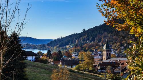 Chalet De Charme � G�rardmer