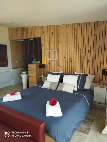 Bed & Breakfast La Parenth�se Chambre Spacieuse Avec Spa Privatif