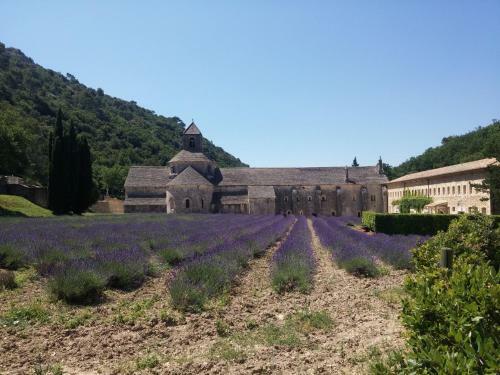Apartamento Bastidon � Gordes Avec Piscine