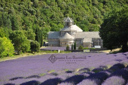 Domaine Les Bastidons