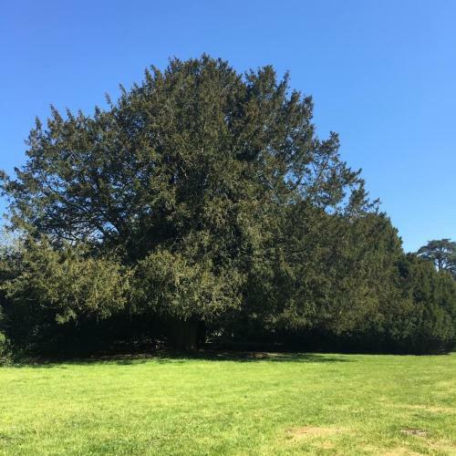 Gite De La Renaudi�re