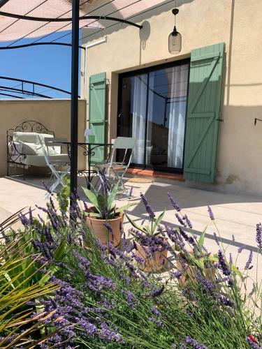 L'ol�astre En Luberon