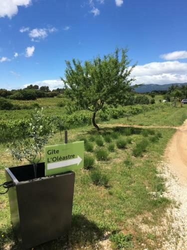 L'ol�astre En Luberon