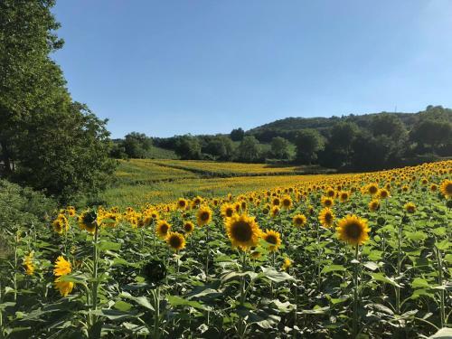 Bed & Breakfast Le Grenier Occitan
