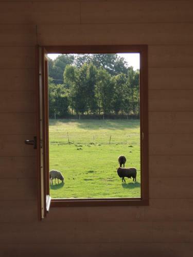 Lodges Les Pieris