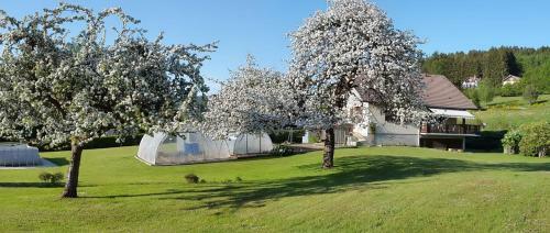 Bed & Breakfast Les Jumeaux