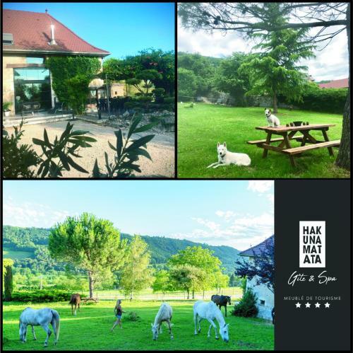 Hakuna Matata G�te & Spa Savoie