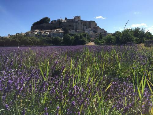 Hostal La Vie De Chateau