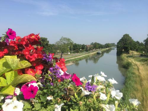 Bed & Breakfast Villa Toulousaine