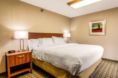 Hotel Holiday Inn Express Pittsburgh-cranberry