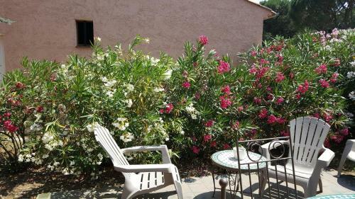 Apartamento Appartement Villa Aliz�