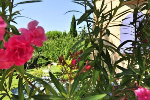 Bed & Breakfast Le Mazet Des M�res