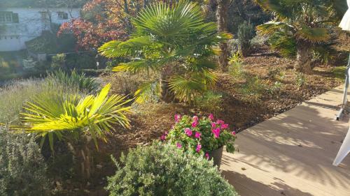 Apartamento Villa Les Agapanthes