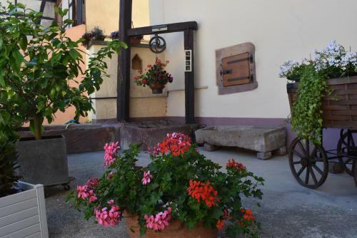 Hostal L'hadestal