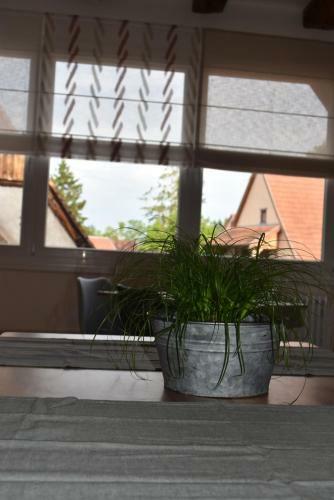 Hostal L'hadestal