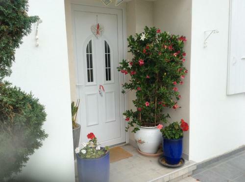 Gites Et Chambres D'hotes Les Roses Th�