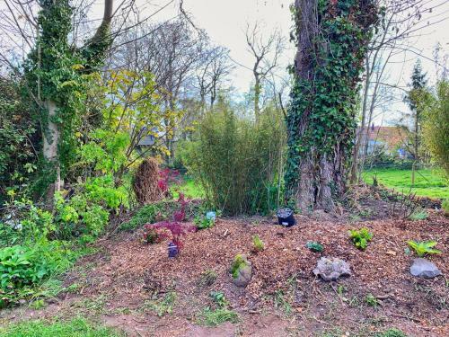 Le Pr� Aux Loups