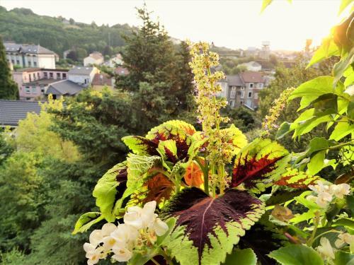 Bed & Breakfast Villa Giselle