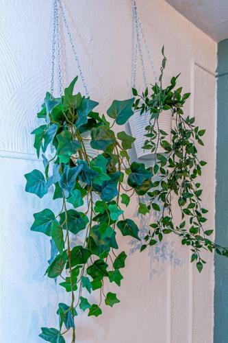 Apartamento Matcha Home Hayange