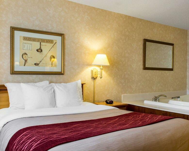 Hotel Comfort Inn Brandon