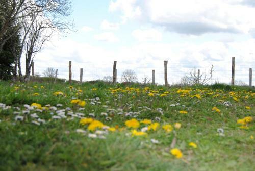 Bed & Breakfast Domaine Les Grands P�rons