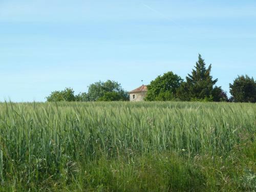 Bed & Breakfast Chateau de Puissentut