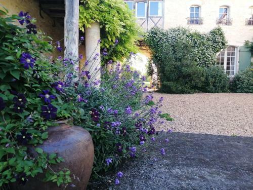 Bed & Breakfast Chateau de Puissentut