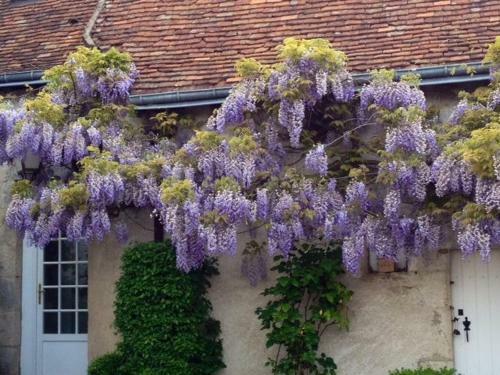 Apartamento Le Clos Audy Pr�s de Chambord