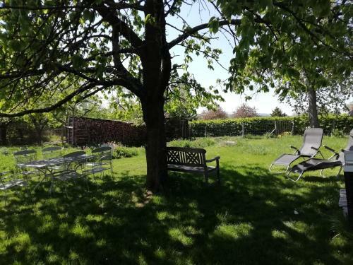 Apartamento G�te Rue de L'ange