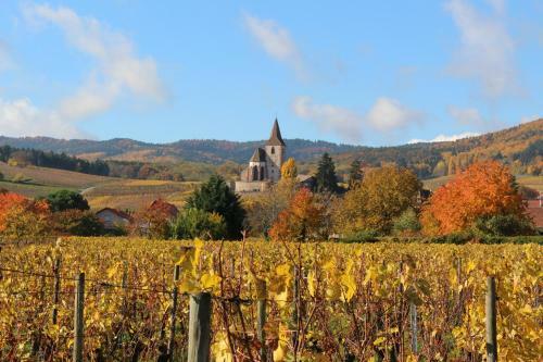 Maison G�te Au Tonnelier