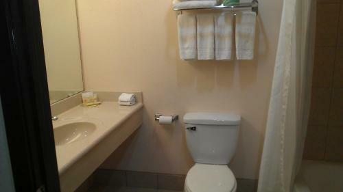 Motel Robinson Inn And Suites