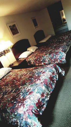 Motel Cedar Creek Inn
