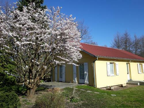 Maison De Manon