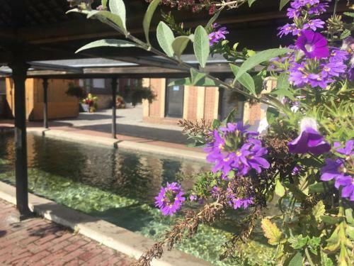 Apartamento La Parenth�se Du Capucin