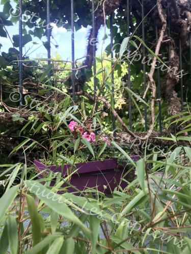 Apartamento Les Capucins - Studio Cosy - Cour Privative - Wifi